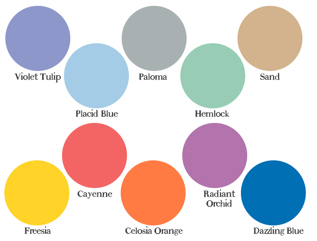 Colors, Logos & Typography – OH MY!