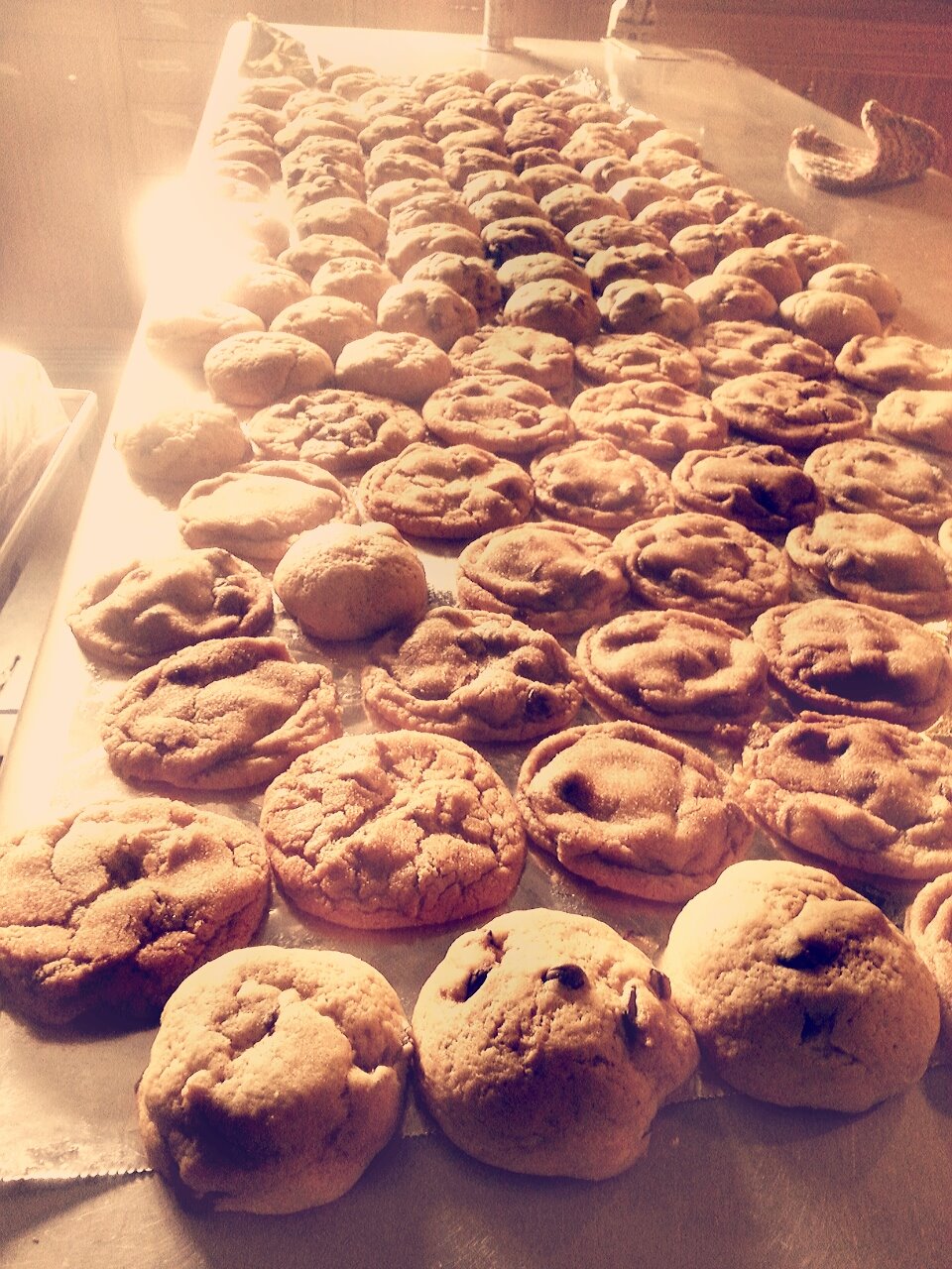 My First Job & What I Learned – Megan Maslonka