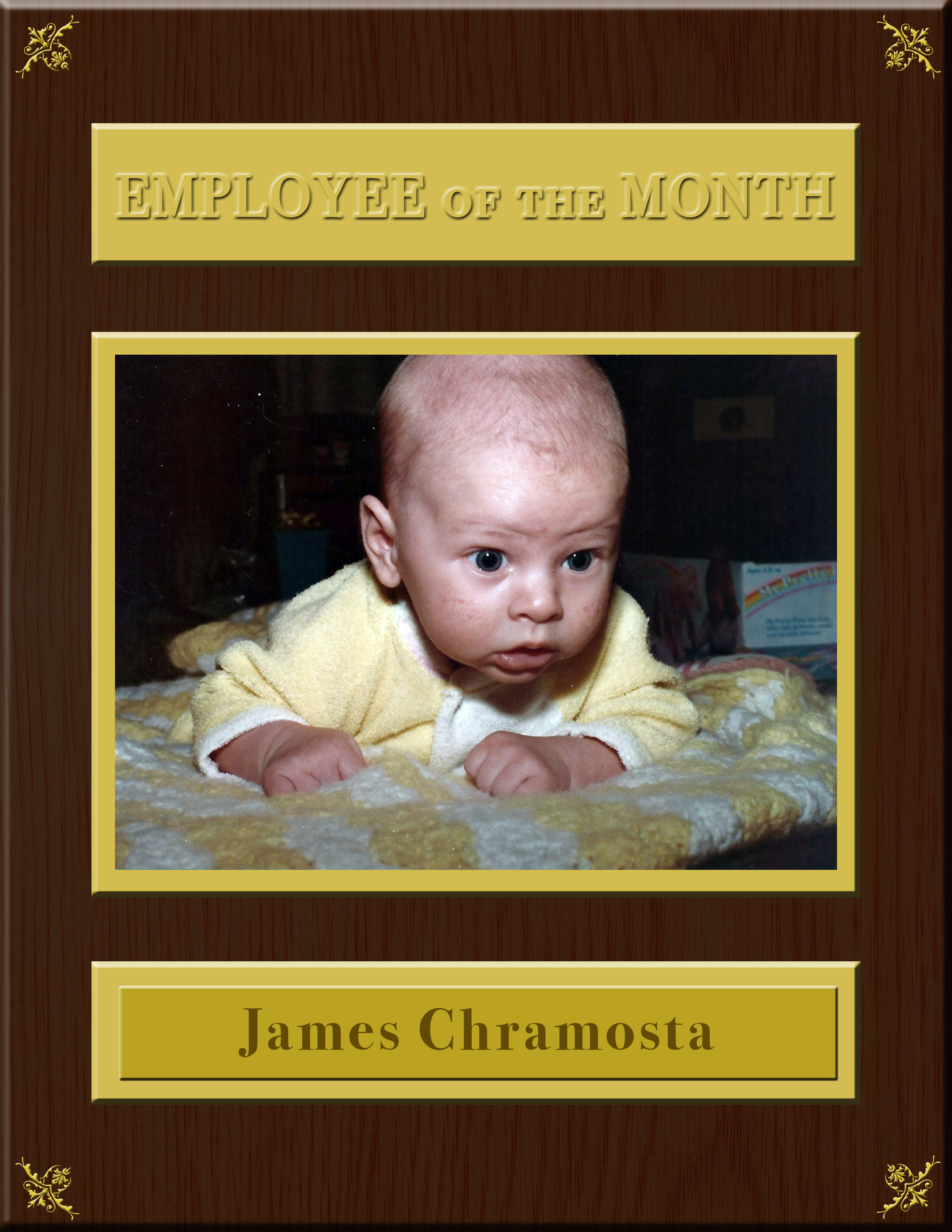 My First Job & What I Learned – James Chramosta
