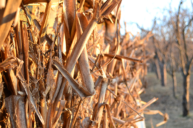 My First Job & What I Learned – April Kester