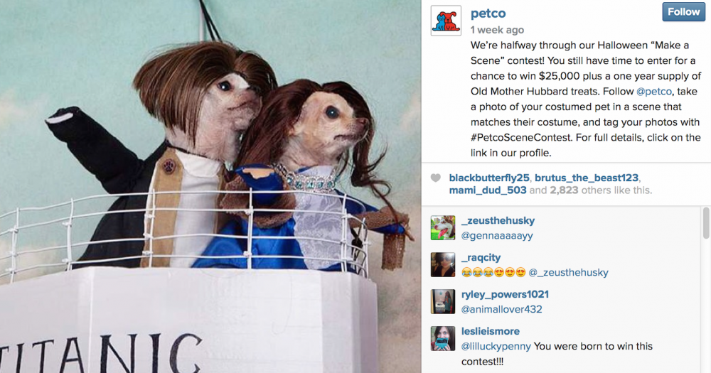 Petco Halloween post of 2 chihuahua's in a scene from Titanic