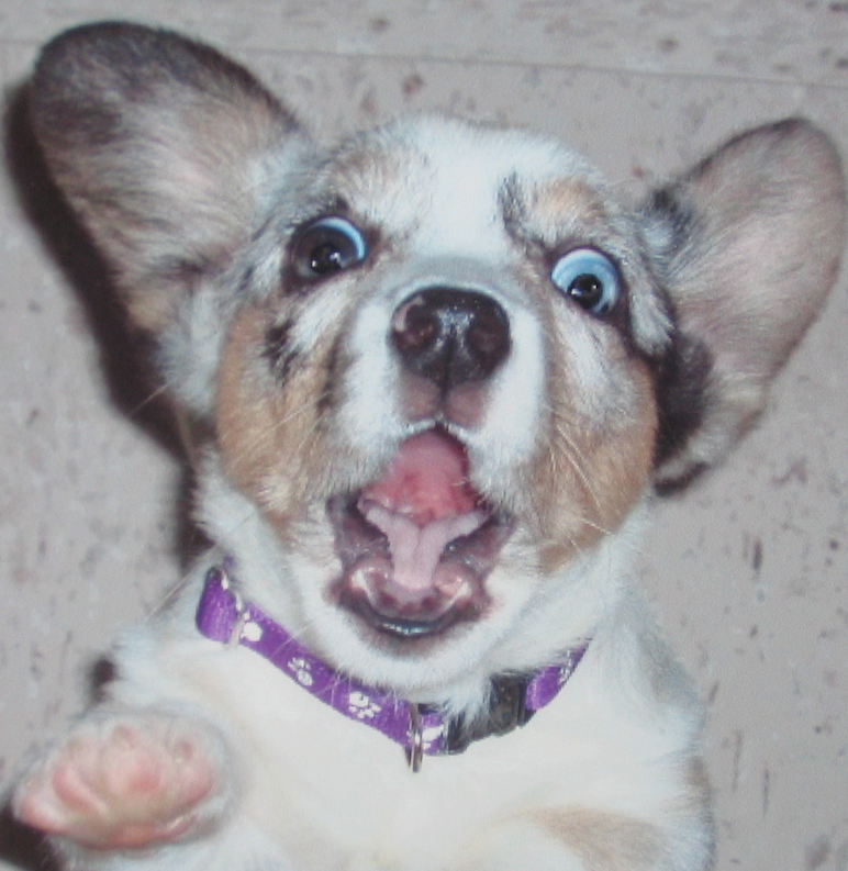 Humor In Marketing: The Good, The Bad, And The Ugly