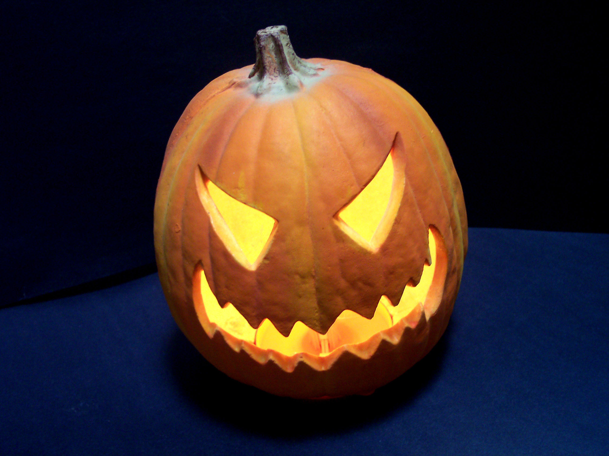 A Few Things That Make Us Shriek!