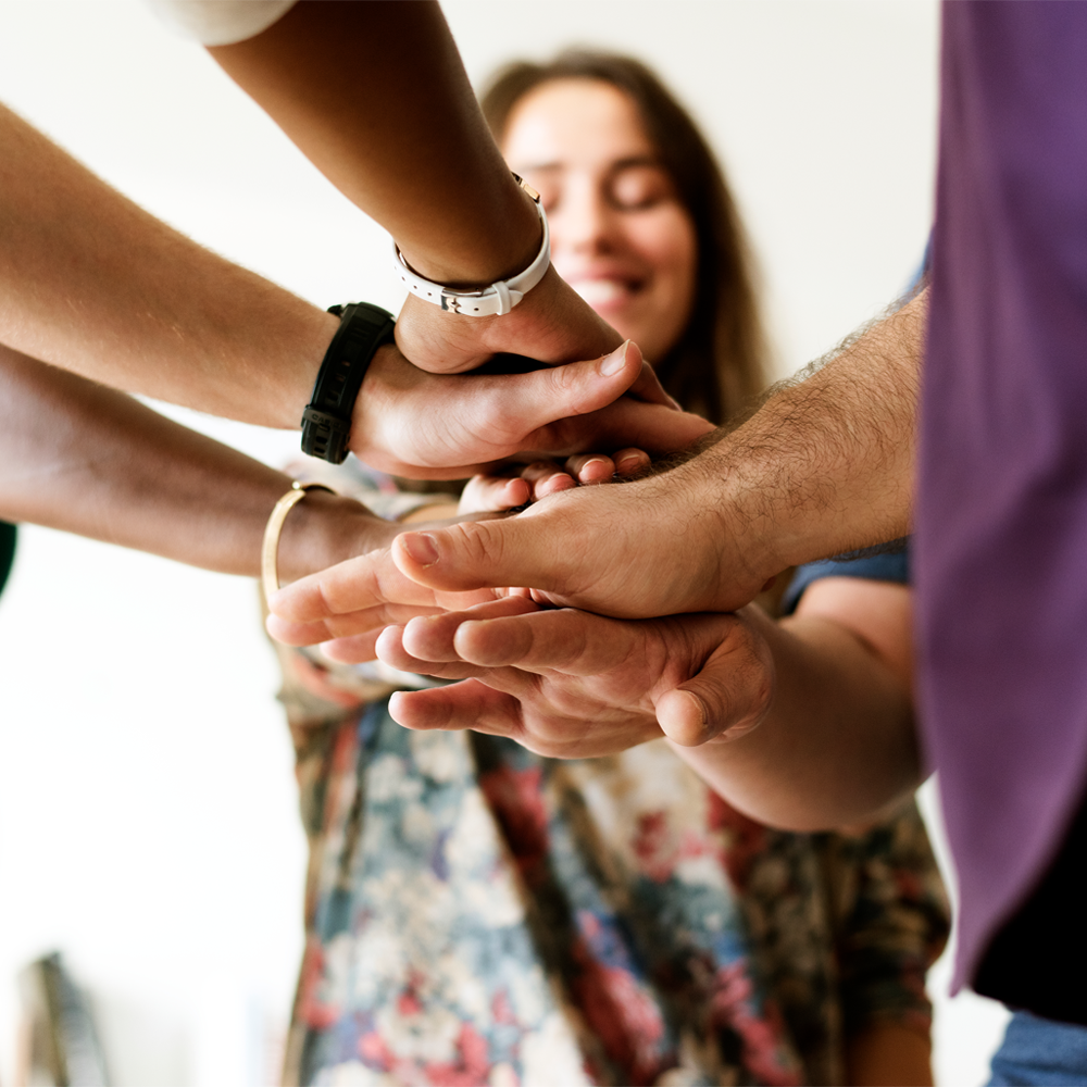 Building Team Culture